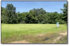 .50 Acre Lot (B) in Madison County in Madison, MS