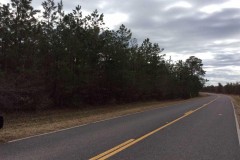 Highway 849 Tract of Caldwell Parish, 80 Acres +/-