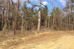 Neathery Road Tract of Caldwell Parish, 80 Acres +/-