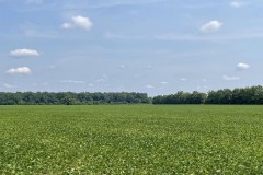 681 +/- Incredible Row Crop Farm, Excellent Duck Hunting, Great Farm Income, Poinsett County, AR