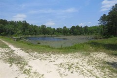 UNDER CONTRACT!! 550 acres of Recreational and Timberland for Sale in Kershaw County SC!