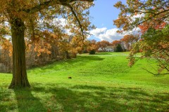 181 Pine Tract Rd, Butler, PA 16001