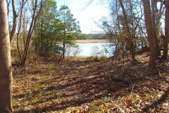 REDUCED!! 47 Acres on Deep Water Tidal Waters in Isle of Wight County Virginia!