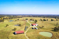 Wapanucka, Oklahoma Cattle Farm & Ranch