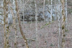 18.65 AC IN THE HILLS OF KY Ã¢ÂÂ UNDEVELOPED Ã¢ÂÂ CAVE - CREEK Ã¢ÂÂ WAY IN THE COUNTRY