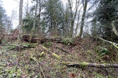 4.78 acres in Enumclaw!