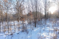 200-acre tract of land with a lot of diversity in Juneau County Wisconsin