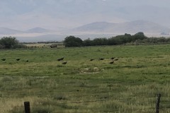 Santa Rosa Meadows Ranch