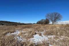 607+/- Acres of Premier Hunting Land in Albia, Iowa