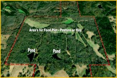 Hunting - Fishing - Home Site - Pasture - Timber
