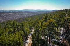 Recreational & Hunting Land For Sale Honobia Oklahoma