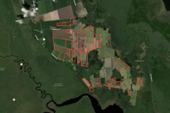1548 Acre Farm For Sale in Tyrrell County, NC!
