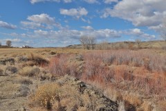 147 ACRES FOR SALE POWELL WYOMING