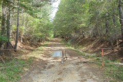 46.06 +/- acres in Clark Co. - Bonner Family Tract
