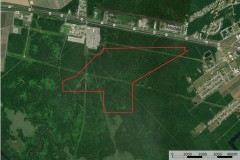 380 acres of hardwood hunting land in St. Mary Parish