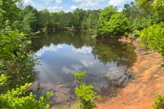 Land with Pond For Sale Barbour Co. Al