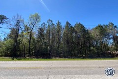 2.0 +/- Acres Highway 11, Forrest County, MS (Petal, MS Area)