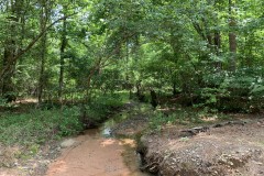Large Timberland Property in West Heard County