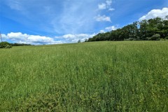 4 acre Building Lot with Existing Well in Caton NY Browntown Road