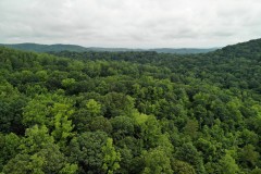 286.8+/- Acres off Deliverance Baptist Church Road, Ronda, NC - Wilkes County
