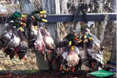 369 ac - Duck & Deer Hunting in North Union Parish
