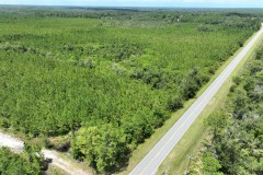 392-acre timber/hunting tract in Brantley County