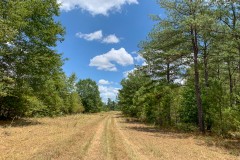 388 Acres | The Game Preserve