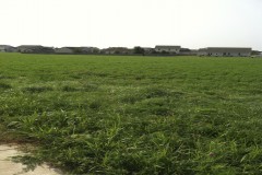 Lot 501 Sawgrass Subdivision (SE corner of Bradley and Staley)