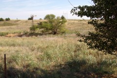Auction 9/19 at 10am! 138 Acres Cultivation, Hunting, CRP, Possible Development