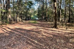 8.3 Acres Residential Land/Lot for Sale in Clinton, MS