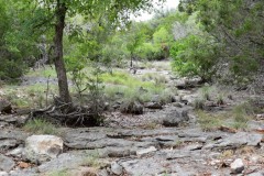 Hunting Land for Sale in Lampasas County
