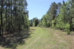 Beautiful Building Lot on 7 Acre Lake