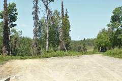 40 pristine off-grid acres with driveway and pad Nikiski