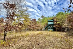 Homesite and Hunting Property