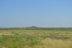 HUNTING PROPERTY LAND FOR SALE ESTELLINE TEXAS REALTREE