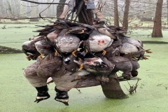80 +/- Acres Duck Hunting/Home Site Near Little Rock