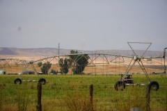 Lowden Irrigated Farm/Ranch