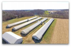 Rocky Top Poultry and Cropland