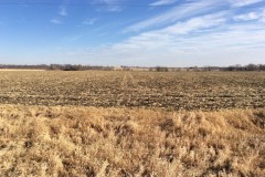 Simulcast Auction | Nearly 100% Tillable Farms Offered in Two Individual Tracts in Cass County, Iowa