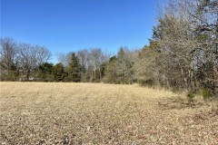 2 Acres in Oktibbeha County (Lot#3) in Starkville, MS