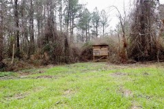 Small Acreage Hunting Property in South Mississippi