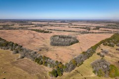 Lowndes County - 338 Acre +/- Prairie Paradise