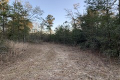 803 acres AG Land in Bay County