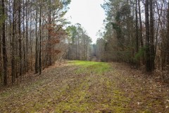 Lamar County AL - 78 Acres Tract On State Line