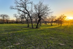 Premier Gentleman's Ranch, Guadalupe County