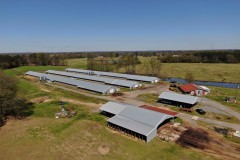 New Price Lemaster Poultry Farm
