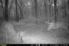 Hunting Land For Sale in East Baton Rouge Parish 178 Acres
