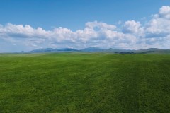 Hay Property in Central Montana for Sale