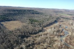 244 acres Timberland with Stream in Friendship NY Tuckers Corners Road