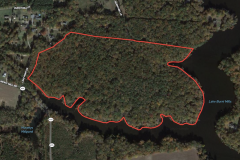 MARKET BASED PRICE IMPROVEMENT!!  48.8 acres of Recreational, Hunting, and Timberland for Sale in Isle of Wight County VA!